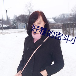 好看的宫斗小说