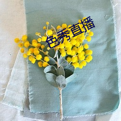 色秀直播