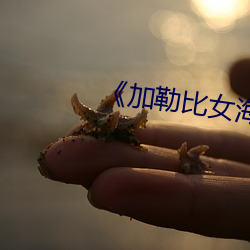 加勒比女海盗1