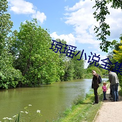 琼瑶小说全集 （处事