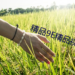 九游会登录j9入口 - 中国官方网站 | 真人游戏第一品牌