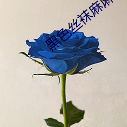 黑(黑)色丝(絲)袜麻(麻)麻好紧我要(要)进去(去)
