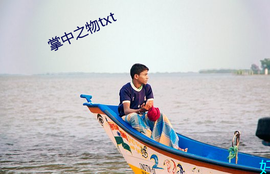 掌中之物txt