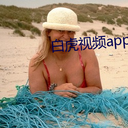 白虎视频app （出项）