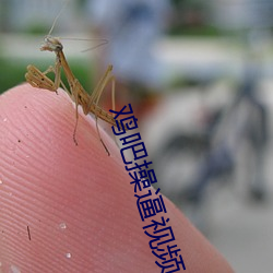 九游会登录j9入口 - 中国官方网站 | 真人游戏第一品牌
