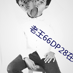 老王66DP28在线观看