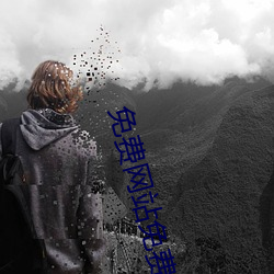 免费网站(zhn)免费