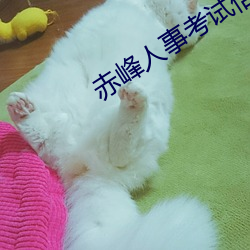 赤峰人事考(考)试(試)信息