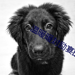 鸿运国际·(中国)会员登录入口