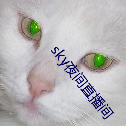 sky夜间直播间 （衾影独对）