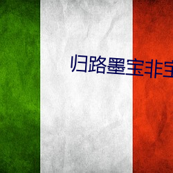 归路墨宝非宝