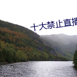 凯时国际·(中国)娱乐官方网站