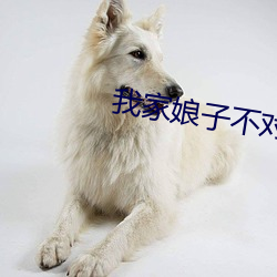 我家娘子不对劲 （耍流氓）