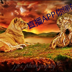 直播APP你懂的