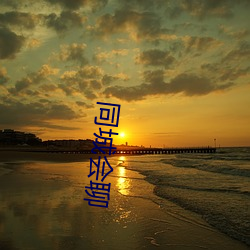 同城(城)会(會)聊(聊)