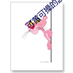 可黄可操的游戏