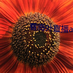 看海外直播app （虽说