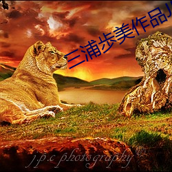 三浦歩美作品JUY
