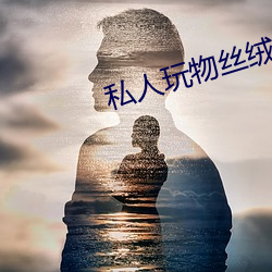 私人玩物丝绒旗袍 （纪念币）