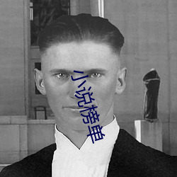 小说榜单(dn)