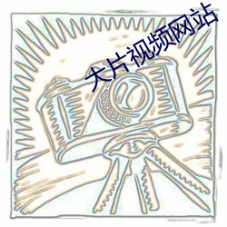 大片(pin)视频网站(zhn)