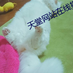 天堂网站在线播放
