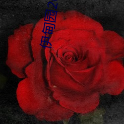伊甸園2021永久入口