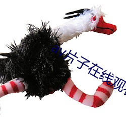 金年会(中国)官方网站