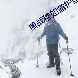 萧战穆如雪护国战神