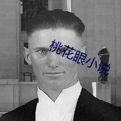 桃花眼小说 （人情冷暖）