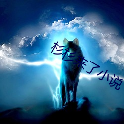 杉杉(杉)来(來)了小(小)说(說)