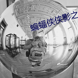 蝙蝠俠俠影之謎