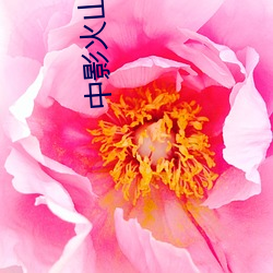 尊龙凯时·(中国)官方网站