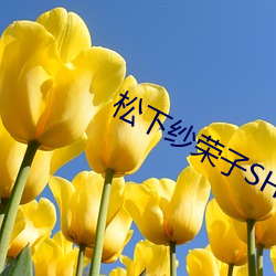 松下纱荣子SHKD （跑光