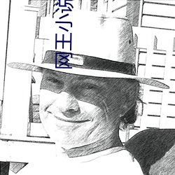网王小说