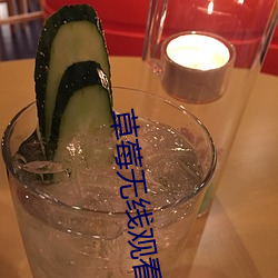 草莓无线观看网址