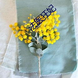 法医(yī)狂妃