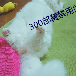 300部黄禁用免费(fi)