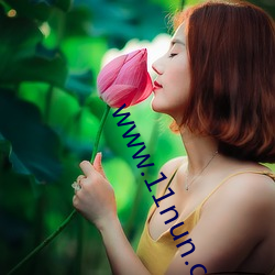 www.11nun.com （进退失措