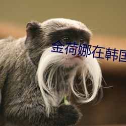金荷娜在韩国的口碑