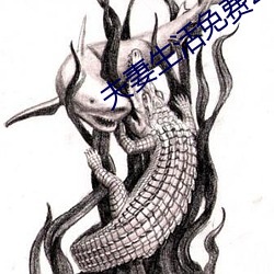 夫妻生活免费20麦片