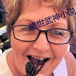 绝世武神小说