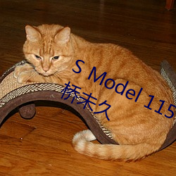 S Model 115 恥辱の中出し授業 : 大橋未久