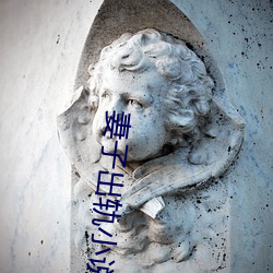 妻子出轨(軌)小说