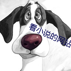 看小说的网站