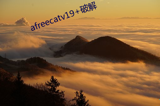 afreecatv19+破解