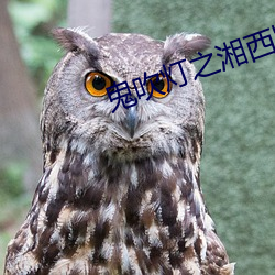 AG真人平台(中国)官方网站