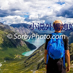 小说外甥媳妇