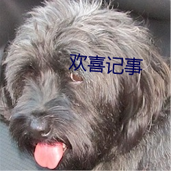 欢喜记事(shì)