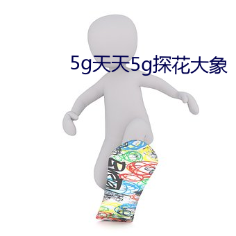 5g天天5g探花大象